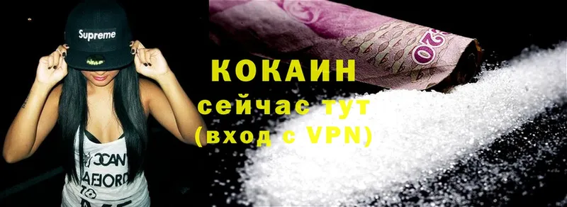 Купить наркотик Новозыбков Cocaine  Бошки Шишки  Галлюциногенные грибы  Лсд 25  Меф  ГАШИШ 